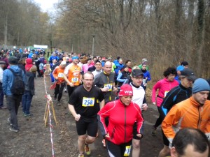 Auewaldlauf 2015